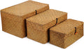 Woven Wicker Storage Bins with Lid, Seagrass Basket for Shelf Organizer, Extra Large, Set of 3