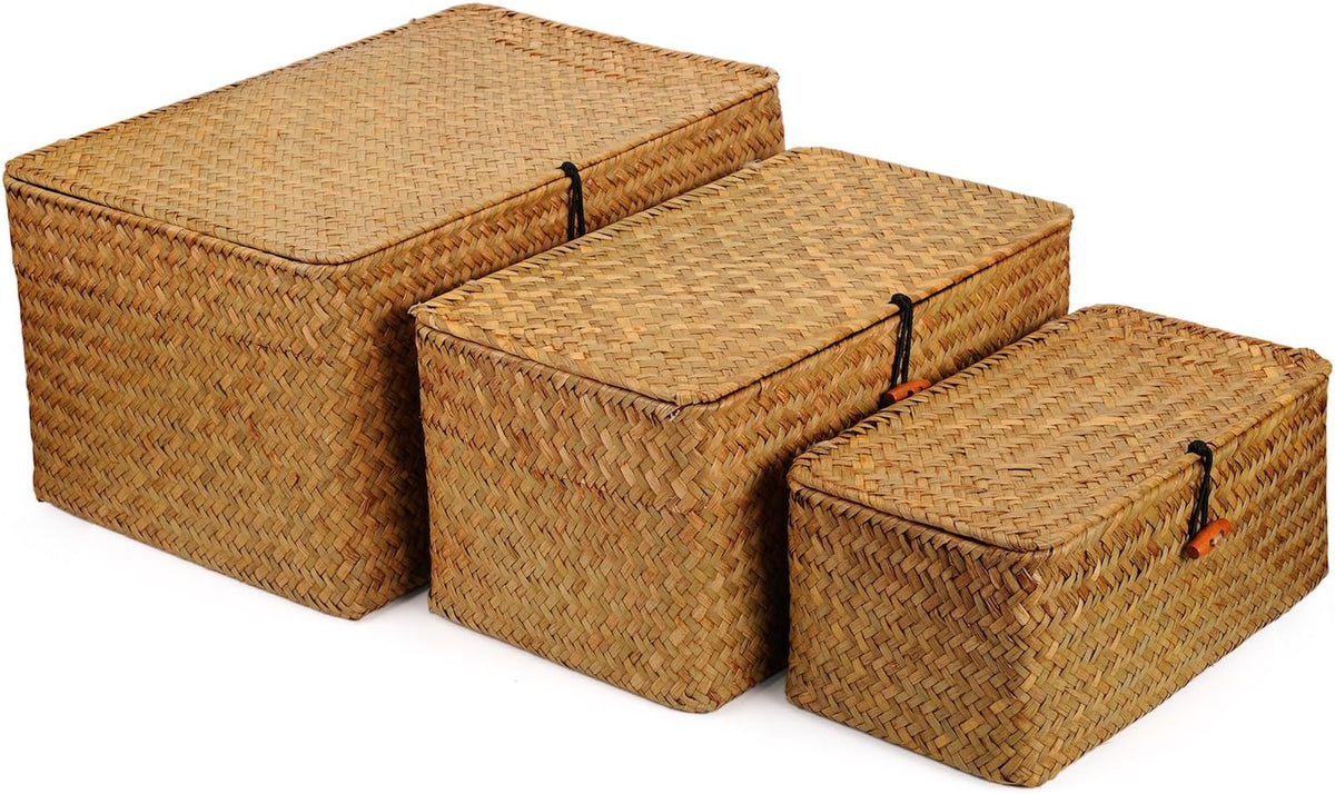 Woven Wicker Storage Bins with Lid, Seagrass Basket for Shelf Organizer, Extra Large, Set of 3