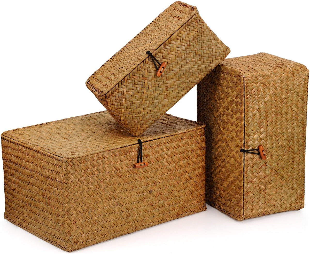 Woven Wicker Storage Bins with Lid, Seagrass Basket for Shelf Organizer, Extra Large, Set of 3