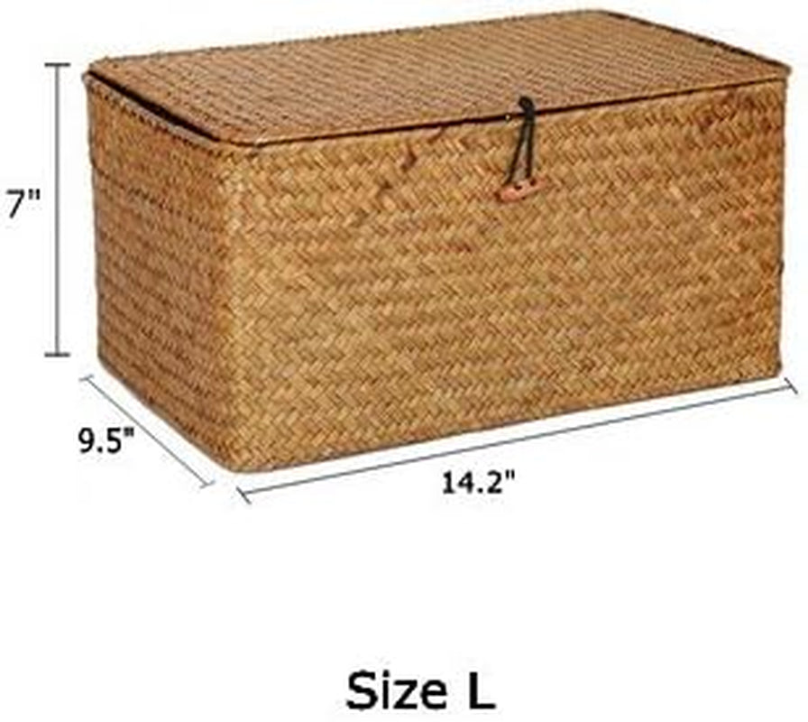 Woven Wicker Storage Bins with Lid, Seagrass Basket for Shelf Organizer, Extra Large, Set of 3